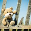New Teddy Bear